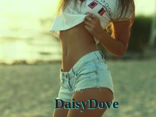 DaisyDove