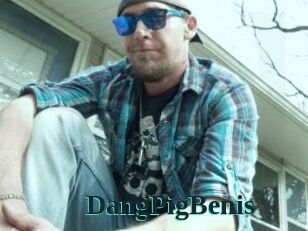 DangPigBenis