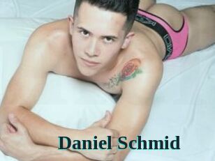 Daniel_Schmid