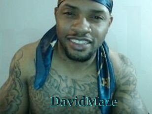 David_Maze