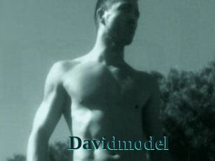 Davidmodel