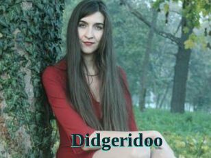 Didgeridoo