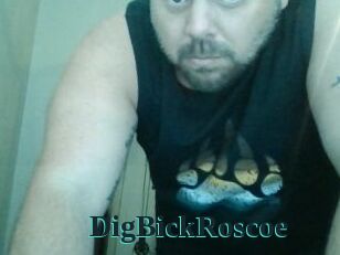 DigBickRoscoe