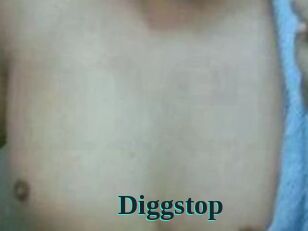Diggstop