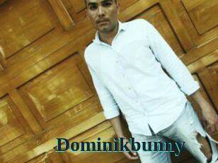 Dominikbunny