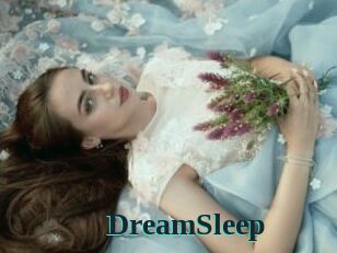 DreamSleep