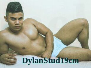 DylanStud19cm