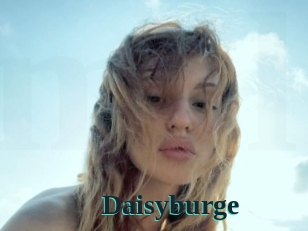 Daisyburge
