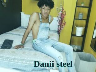 Danii_steel