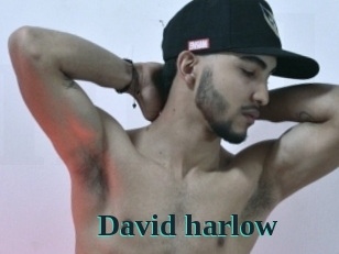 david_harlow Melody Melons