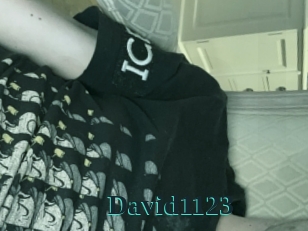 David1123