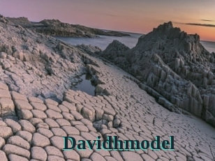 Davidhmodel
