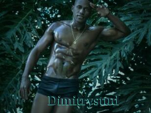 Dimitrystud