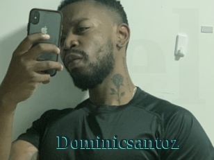 Dominicsantoz
