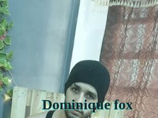 Dominique_fox