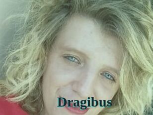 Dragibus
