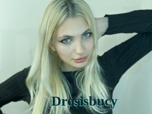 Drosisbucy
