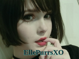 EllePurrsXO