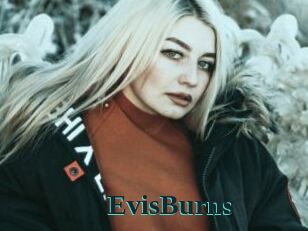 EvisBurns