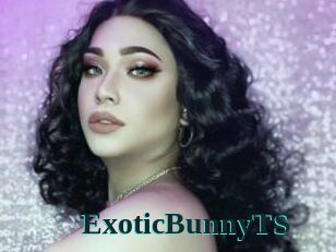 ExoticBunnyTS