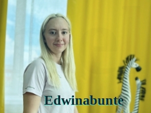 Edwinabunte