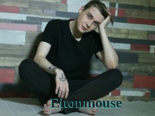 Eitonmouse