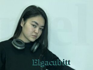 Elgacubitt