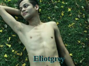 Eliotgrey