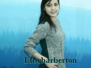 Elisebarberton