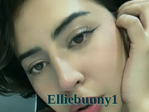 Elliebunny1