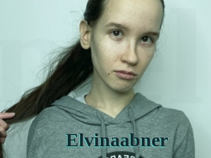 Elvinaabner