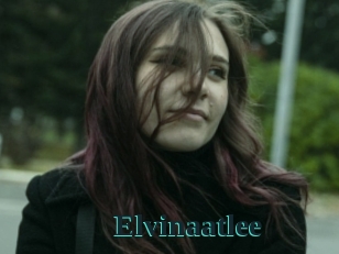 Elvinaatlee
