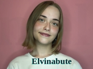 Elvinabute