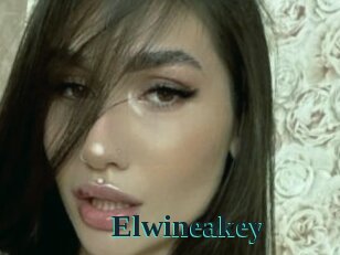 Elwineakey