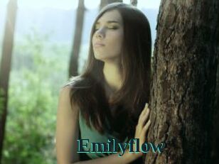 Emilyflow