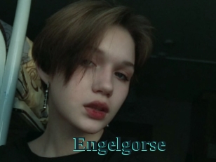Engelgorse