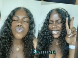 Evamae