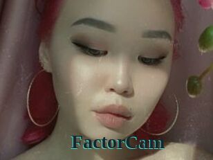 FactorCam