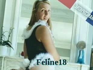 Feline18