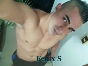 Fenix_S