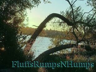 FluffsRumpsNHumps