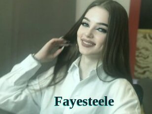 Fayesteele