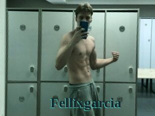 Fellixgarcia