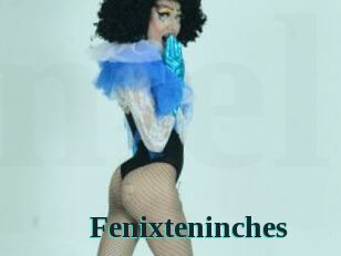 Fenixteninches