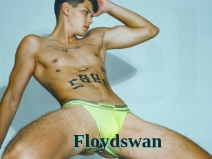 Floydswan