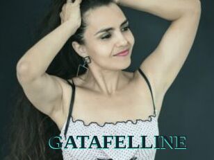 GATAFELLINE
