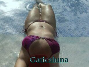Gaticaluna
