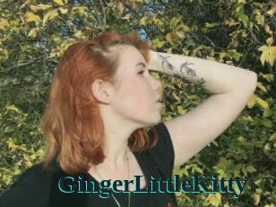 GingerLittleKitty