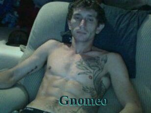 Gnomeo