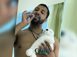 Gaap